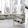 electrolux2